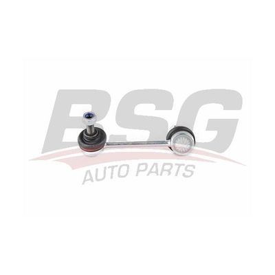 Viraj Demir Askı Rotu Arka Sağ BSG 40-310-118