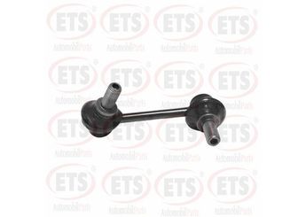 Viraj Demir Askı Rotu Ön Sol RIW MZ4039  TD1134170A