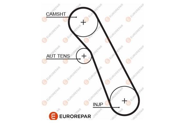 Triger Kayışı  Ford Focus 3/4/5 Kapı (CAP)(08.2004->)  EUROREPAR 1633130180