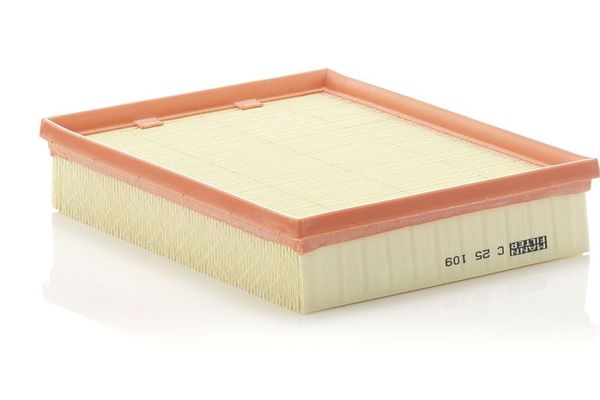 Hava Filtresi  Renault Laguna Grandtour (2007->)  MANN C 25 109