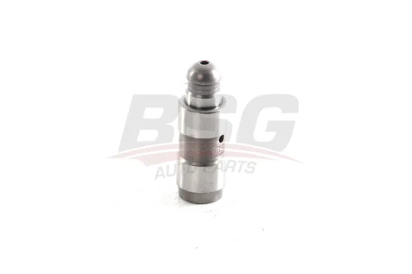 Supap Tapet  BMW 3 Serisi Sedan (E90)(2004->)  BSG 15-122-025