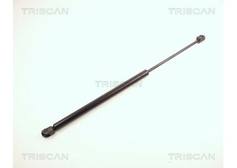 Bagaj Amortisörü Sağ veya Sol MANUS 290801RW  132720 1 32 720 90341377