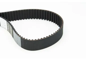 Triger Kayışı  CONTINENTAL CT1085  2431237500 2431237100 2431237400