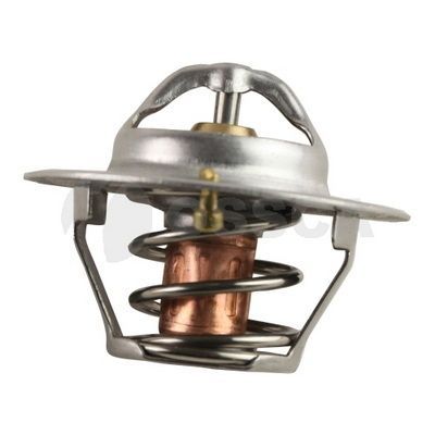 Termostat  Renault Safrane (B54)(10.1994->)  RENAULT ORJINAL 212007696R