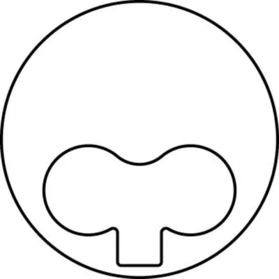 Piston (91.10MM-0.50)  KING PISTON 17-4050023