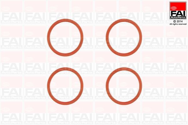 Manifold Contası  ROYAL H71464