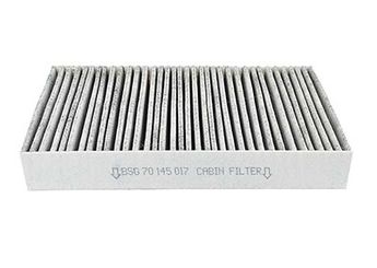 Polen Filtresi  BSG 70-145-017  6479K9 6479.K9 AHC352