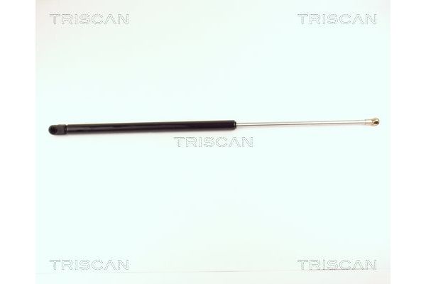 Bagaj Amortisörü Sağ veya Sol FASE 11-305-016