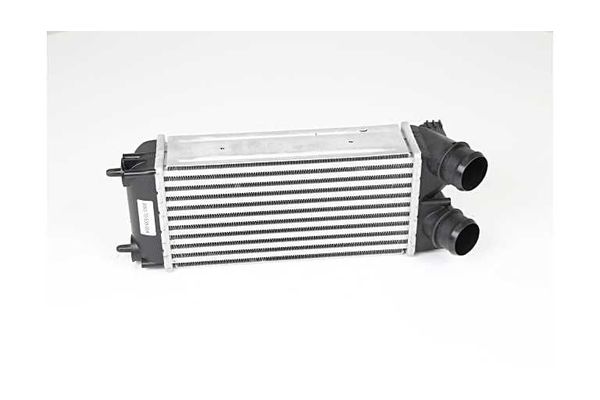 Turbo Radyatörü  BSG 70-535-004