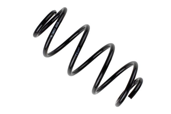 Helezon Yayı Arka BSG 60-305-026