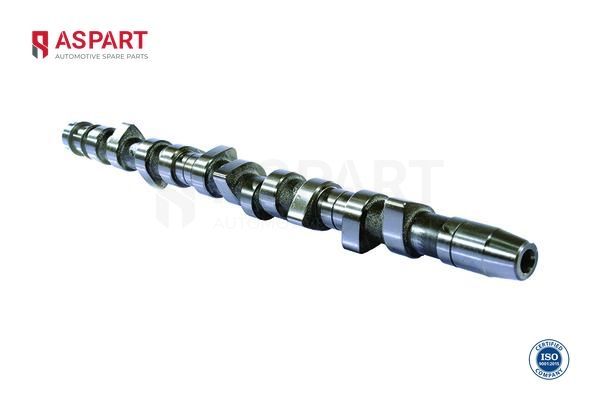 Eksantrik Mili  ASPART 8CAM1013