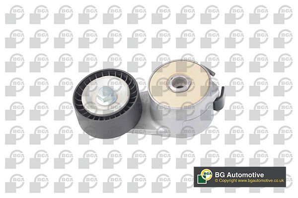 Vantilatör Kayış Gergi Rulmanı  Lancia Ypsilon (101)(09.2003->2012)  BGA DC2207