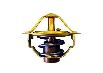 Termostat  WAHLER 410352.88D  K2C015171A 0K2C0-15-171A