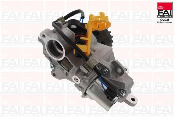 Yağ Pompası  Ford Transit / E-Transit (TTS) P.Van (2019->)  FOMOCO HG9Q6600BA