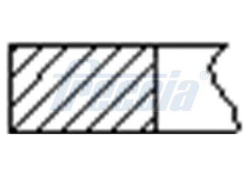 Segman (79.00MM-STD)  GOETZE 06-307600-00  06-307600-00