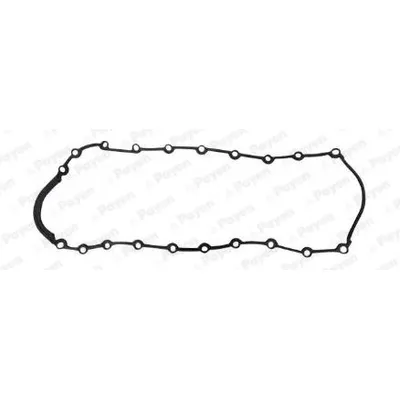 Karter Contası  Renault Scenic II (06.2003->)  ROYAL H2 25050