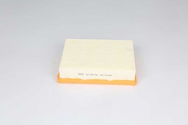 Hava Filtresi  BSG 60-135-018