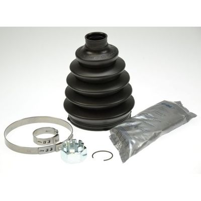 Aks Körüğü Ön Dış Sağ veya Sol GKN 304389