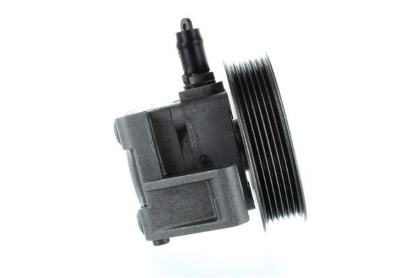 Direksiyon Pompası  SPIDAN 52716