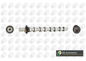 Eksantrik Mili  INA 428 0032 30  801EQ 801Z9 0801.Z9 1313804 3M5Q6A270AC 3M5Q-6A270-AC Y60112421 Y601-12-421 0801.EQ 30711505