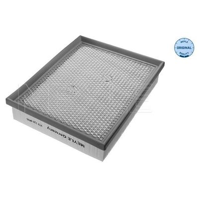 Hava Filtresi  Ford Edge (CDQ)(2015->)  FOMOCO DS739601AC