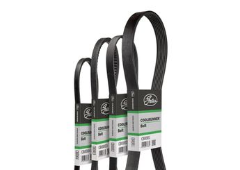 Vantilatör Kayışı  GATES CB0056  