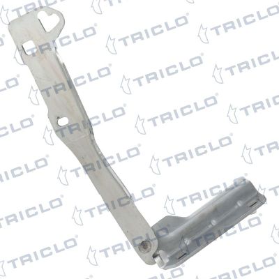 Motor Kaput Menteşesi Sağ Dacia Sandero (06.2008->)  LEEOPART BB20401