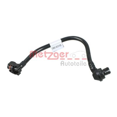 Westinghouse Hortumu  Renault Clio III Grandtour (01.2008->)  RAPRO 12613