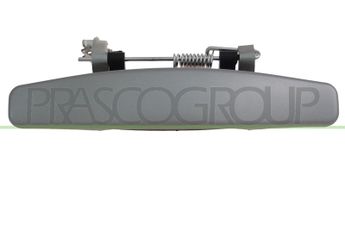 Kapı Kolu Ön veya Arka Dış Sol RENAULT ORJINAL 806079755R  