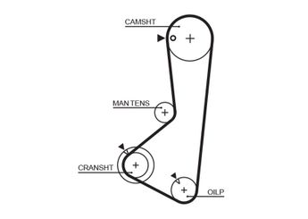 Triger Kayışı  GATES 5256XS  2431232555 MD120487 MD140227 PMTB325 24312-32555 MD197137 XD140227