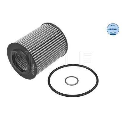 Yağ Filtresi  BMW 3 Serisi Touring (F31)(2012->)  MAGNETI MARELLI 359002340240