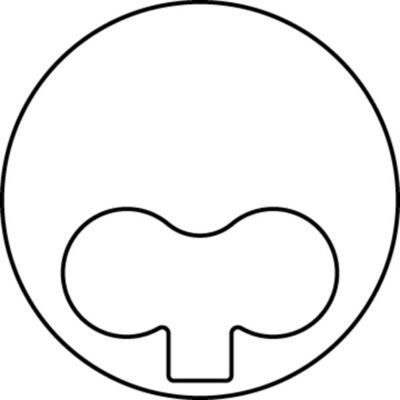 Piston (91.60MM-0.50)  GOETZE 87-71337-050