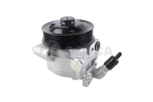 Direksiyon Pompası  FRENDI 66581