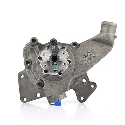 Devirdaim Su Pompası  BSG 60-500-006