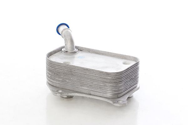 Motor Yağ Soğutucu  BMW 3 Serisi Coupe (E92)(2006->)  BSG 15-506-021