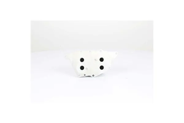 Motor Yağ Soğutucu  MINI Mini 5-kapı (F55)(2014->)  BSG 15-506-017