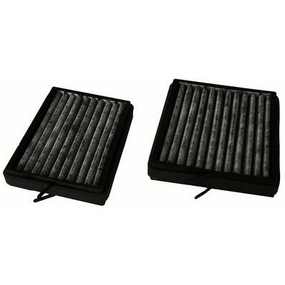 Polen Filtresi  SARDES SCA3042-2