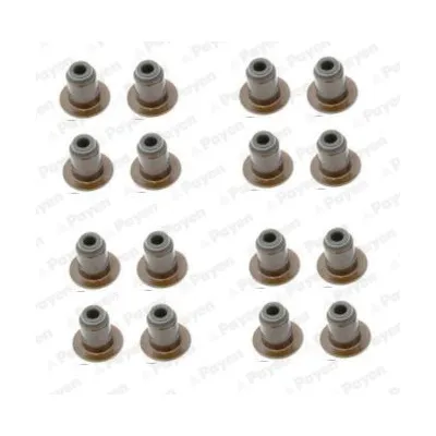 Supap Lastiği  Citroen Jumper Kamyonet (Çift Kabin)(06.2014->)  FIAT ORJINAL 500395378