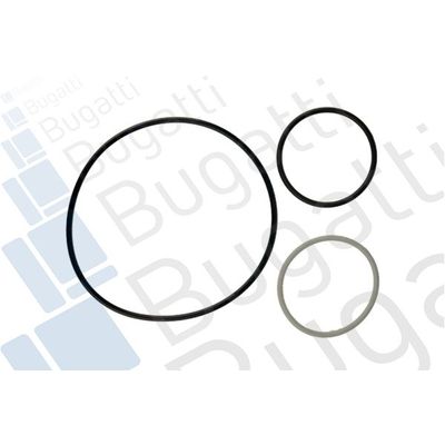 Devirdaim Su Pompası  Fiat Ducato Maxi P.Van 35 (09.2006->)  BUGATTI PA10077