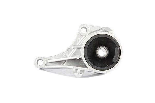 Motor Takozu Ön BSG 65-700-165