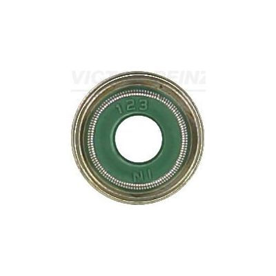 Supap Lastiği  REINZ 70-53993-00