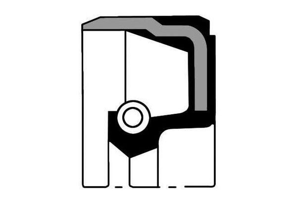 Eksantrik Keçesi  REINZ 81-27317-00