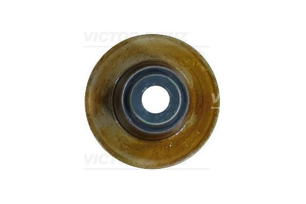 Supap Lastiği  REINZ 70-38227-00