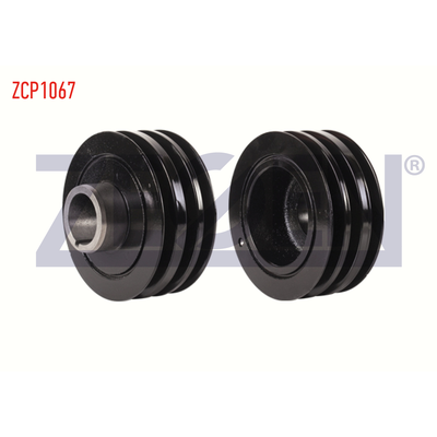 Krank Kasnak  Renault R 19 (B/C/L53)(05.1992->)  ZEGEN ZCP1067