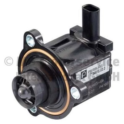 Egr Valfi  Ford Mustang (CZG/S550)(2015->)  PIERBURG 7.04615.03.0