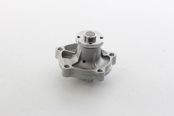 Devirdaim Su Pompası  BSG 83-500-002