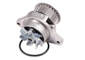 Devirdaim Su Pompası  GK 980136  36121005 036 121 005 36121005D 036 121 005 D 36121005DV 036 121 005 DV 36121005DX 036 121 005 DX 36121005J 036 121 005 J 36121005M 036 121 005 M 36121005MV 036 121 005 MV 36121005MX 036 121 005 MX 36121005V 036 121 005 V 36121005X 036 121 005 X