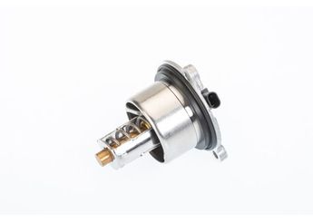 Termostat  WAHLER 411076.104D  9A110622603