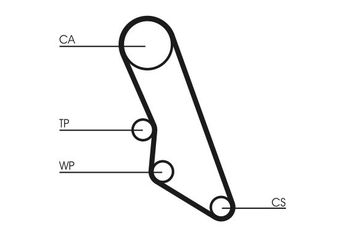 Triger Kayışı  CONTINENTAL CT865  1473011080 81669 081669