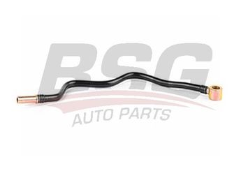 Yakıt Borusu  BSG 30-725-019  984T9B273AA T106418